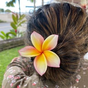 Meet your Posher, Abha